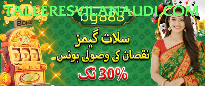 pk11，Log in，register，version